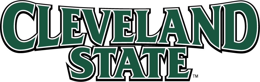 Cleveland State Vikings 2007-Pres Wordmark Logo diy DTF decal sticker